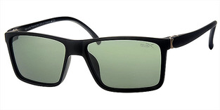 REVEX POLARIZED POL2016-2 GREEN