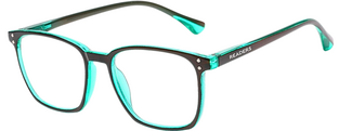 READERS BL246 GREEN +1.00