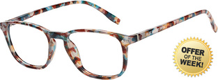 READERS RD191 TORTOISE +3.00