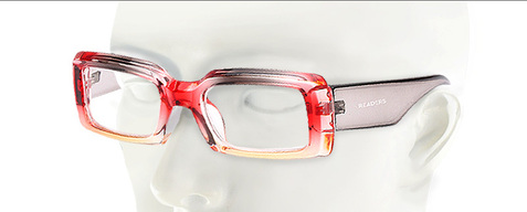 RD248 - Readers in 2 colors & 16 dioptre