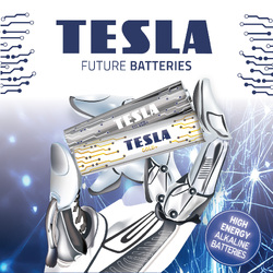 TESLA BATTERIES