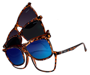 READERS NR1000 BROWN +2.50