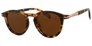 REVEX POLARIZED POL4008-1 BROWN-DEMI