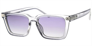 LEVEL ONE L2173-2 CLEAR