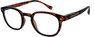 READERS RD159 BROWN +2.50