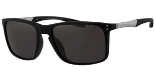 REVEX POLARIZED POL2012-2 SMOKE