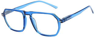 READERS RD254 BLUE +1.25