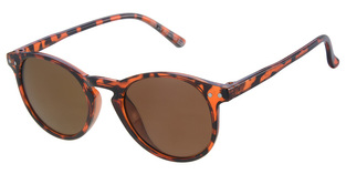 “D&D” DD24021 - 3 BROWN-DEMI AGE 5-8