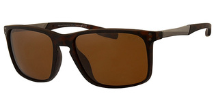 REVEX POLARIZED POL2012-3 BROWN