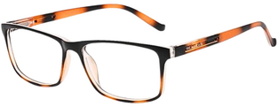 READERS RD251 BROWN +2.75