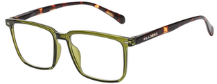 READERS RD249 OLIVE +1.25